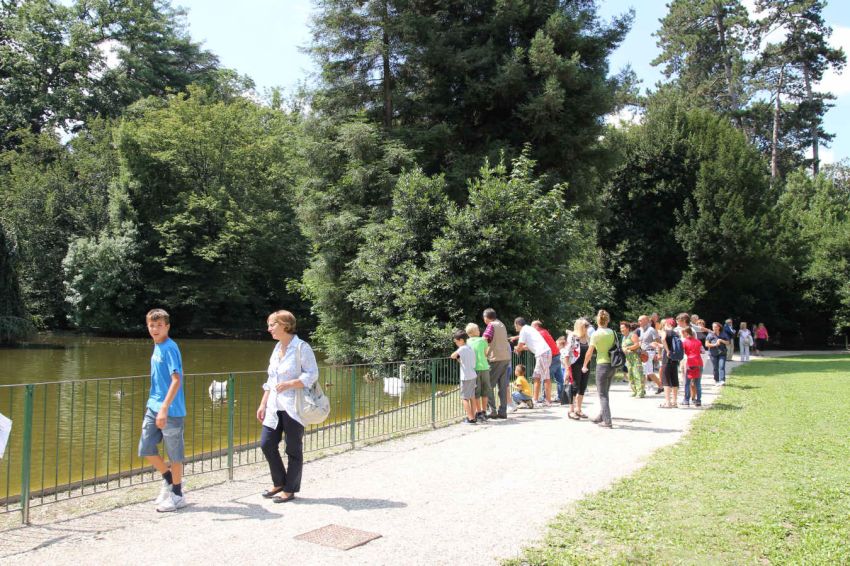 r luglio 2011 IMG_6430.jpg